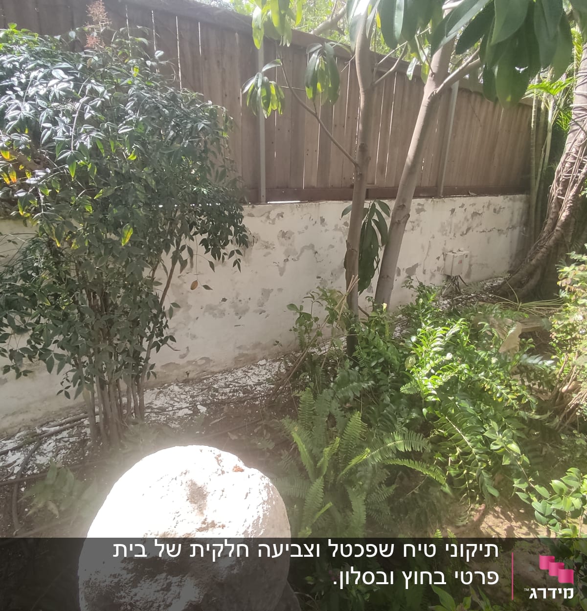 צמחייה ירוקה עם גדר עץ ברקע ואבן גדולה בקדמת התמונה